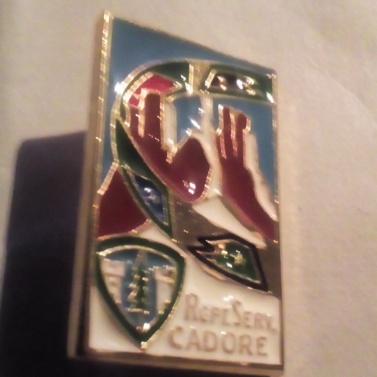 Raggruppamento servizi Cadore Raggruppamento servizi Cadore Raggruppamento servizi Cadore