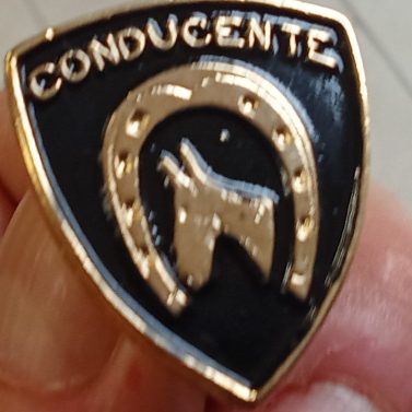 conducente muli conducente muli conducente muli