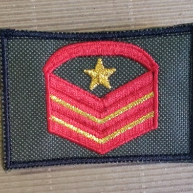 graduato aiutante graduato aiutante graduato aiutante