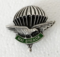 Battaglione alpini paracadutisti Mai Strack