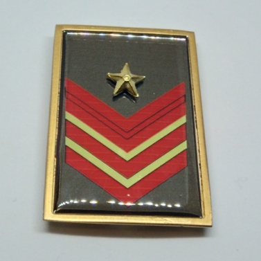 appuntato scelto a qualifica speciale appuntato scelto a qualifica speciale appuntato scelto a qualifica speciale