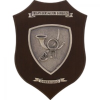 Brigata Bersaglieri Garibaldi crest secondo modello Brigata Bersaglieri Garibaldi crest secondo modello Brigata Bersaglieri Garibaldi crest secondo modello