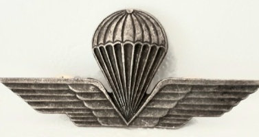 brevetto di lancio civile argento vecchio brevetto di lancio civile argento vecchio brevetto di lancio civile argento vecchio