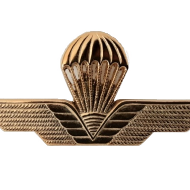 brevetto di lancio civile oro brevetto di lancio civile oro brevetto di lancio civile oro