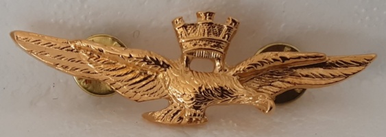 brevetto di volo militare oro