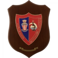 Reparto Investigazioni Scientifiche Carabinieri Reparto Investigazioni Scientifiche Carabinieri Reparto Investigazioni Scientifiche Carabinieri