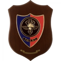 Gruppo Intervento Speciale Carabinieri crest Gruppo Intervento Speciale Carabinieri crest Gruppo Intervento Speciale Carabinieri crest