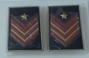 appuntato scelto a qualifica speciale appuntato scelto a qualifica speciale appuntato scelto a qualifica speciale