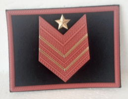 appuntato scelto a qualifica speciale appuntato scelto a qualifica speciale appuntato scelto a qualifica speciale