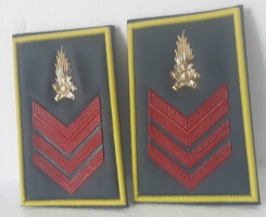 set gradi appuntato G.d.F set gradi appuntato G.d.F set gradi appuntato G.d.F