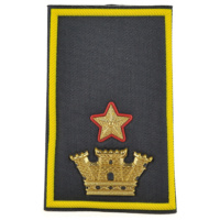 maggiore con incarichi speciali maggiore con incarichi speciali maggiore con incarichi speciali