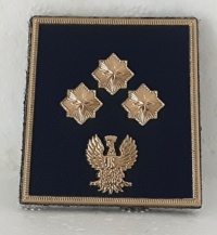 commissario commissario commissario