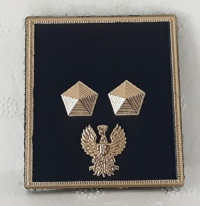 ispettore ispettore ispettore