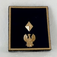 vice ispettore vice ispettore vice ispettore