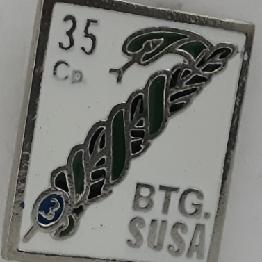35a compagnia battaglione susa terzo reggimento alpini 35a compagnia battaglione susa terzo reggimento alpini 35a compagnia battaglione susa terzo reggimento alpini