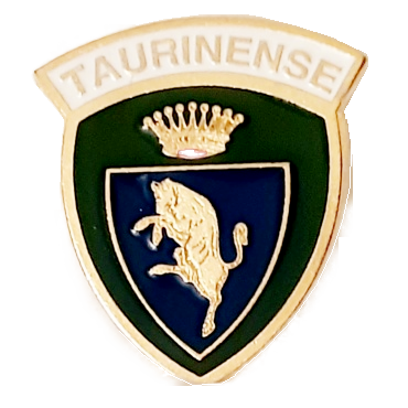 brigata taurinense (con scritta sormontante)