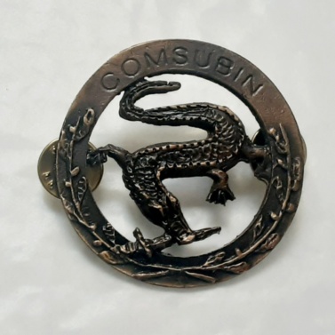 Fregio da basco sezione tecnica incursori Fregio da basco sezione tecnica incursori Fregio da basco sezione tecnica incursori