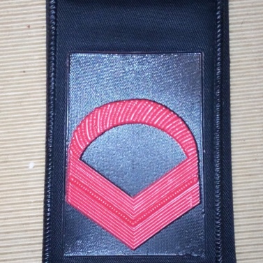 Primo graduato o caporalmaggiore Primo graduato o caporalmaggiore Primo graduato o caporalmaggiore