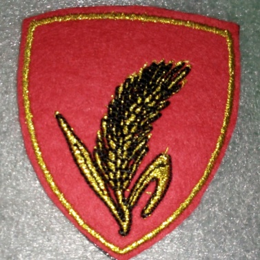 Divisione fanteria Cremona Divisione fanteria Cremona Divisione fanteria Cremona