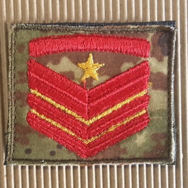 Sottocapo di prima classe scelto qualifica speciale Sottocapo di prima classe scelto qualifica speciale Sottocapo di prima classe scelto qualifica speciale