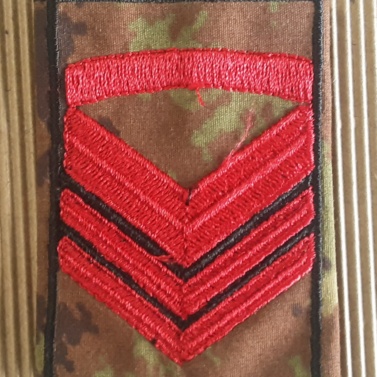 Sottocapo di prima classe Sottocapo di prima classe Sottocapo di prima classe