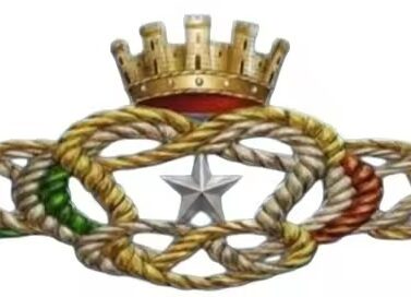 distintivo d’onore per il personale in congedo delle forze armate distintivo d’onore per il personale in congedo delle forze armate distintivo d’onore per il personale in congedo delle forze armate